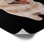 Kat Met Koptelefoon  Poster (Hoek)