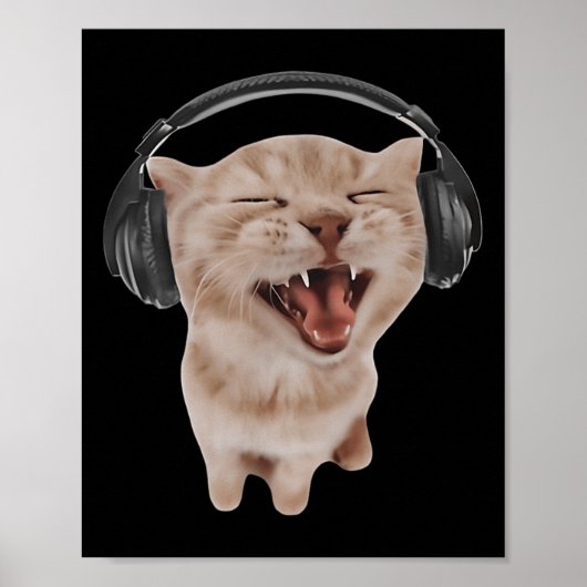 Kat Met Koptelefoon  Poster (Voorkant)
