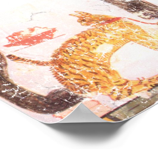 kat met kraag poster (Hoek)