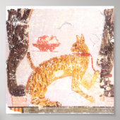 kat met kraag poster (Voorkant)