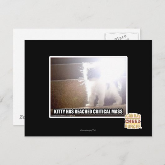 Kat met kritische massa briefkaart (Voorkant / Achterkant)