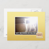 Kat met kritische massa briefkaart (Voorkant / Achterkant)