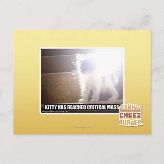 Kat met kritische massa briefkaart (Voorkant)