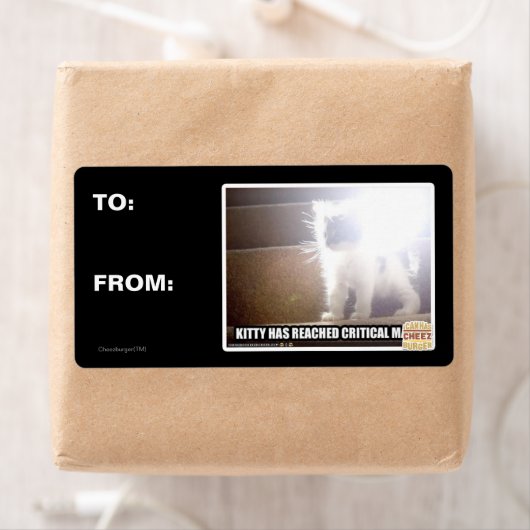 Kat met kritische massa etiket (Insitu)