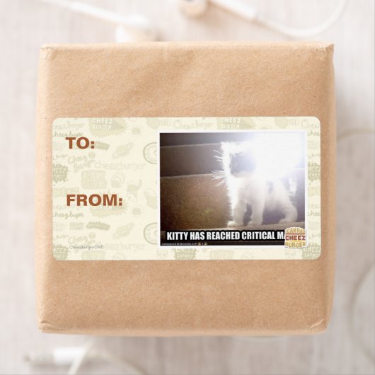 Kat met kritische massa etiket (Insitu)