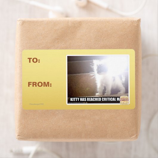 Kat met kritische massa etiket (Insitu)