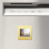 Kat met kritische massa magneet (Insitu (Vaatwasser))