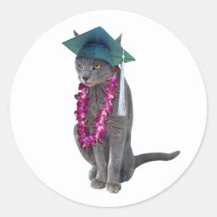 Kat met Lei Afstuderen Sticker