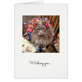 Kat met lintje op de Britse thuiskaart