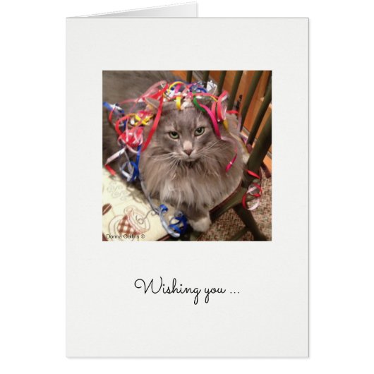 Kat met lintje op de Britse thuiskaart (Voorkant)