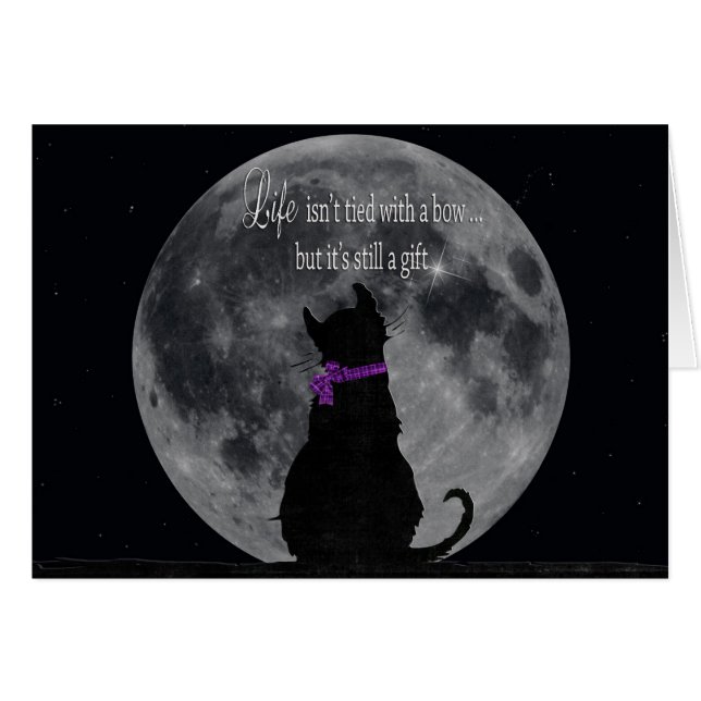 Kat met maan (Voorkant Horizontaal)