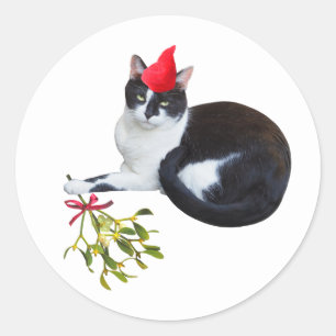 Kat met Mistletoe Stickers