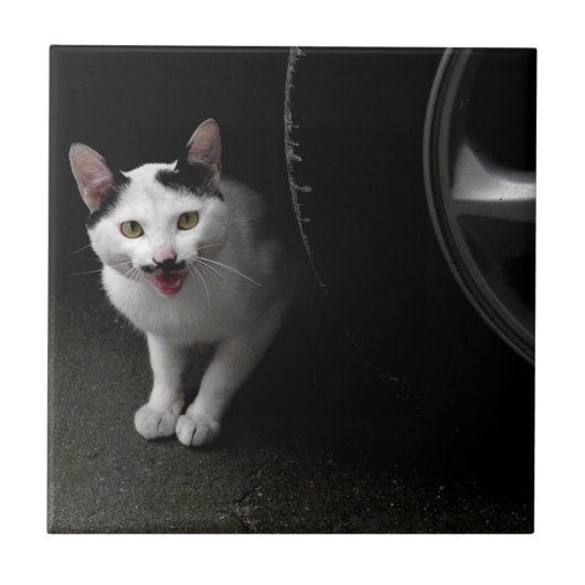 Kat met Mustache Tegeltje (Voorkant)
