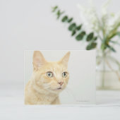 Kat met open ogen briefkaart (Staand voorkant)