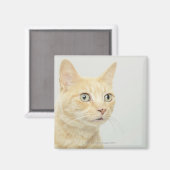 Kat met open ogen magneet (Voorkant / Achterkant)