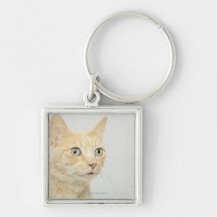 Kat met open ogen sleutelhanger