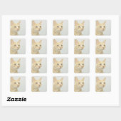 Kat met open ogen vierkante sticker (Vel)