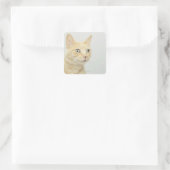 Kat met open ogen vierkante sticker (Tas)
