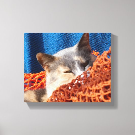 Kat met Oranje Nautisch net Canvas Afdruk (Voorkant)