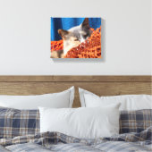 Kat met Oranje Nautisch net Canvas Afdruk (Insitu (Slaapkamer))