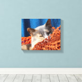 Kat met Oranje Nautisch net Canvas Afdruk (Insitu (Houten vloer))