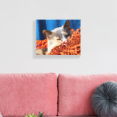 Kat met Oranje Nautisch net Canvas Afdruk (Insitu (Woonkamer))
