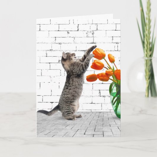 Kat met Oranje Tulpen op zaterdag Kaart (Voorkant)