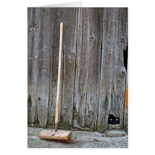 Kat met oude Barn Broom (Voorkant)