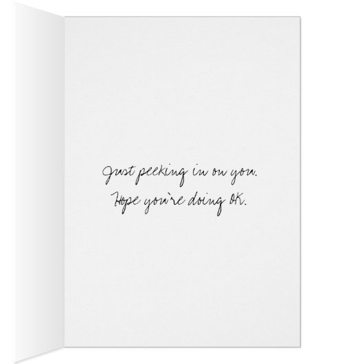 Kat met oude Barn Broom (Binnen (Rechts))