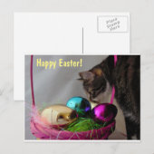 Kat met paasmandje feestdagenkaart (Voorkant / Achterkant)