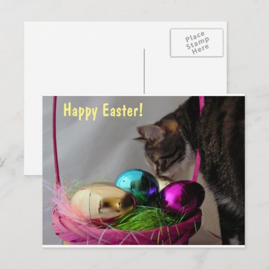 Kat met paasmandje feestdagenkaart (Voorkant / Achterkant)