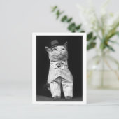 Kat met Pet, 1906 Briefkaart (Staand voorkant)