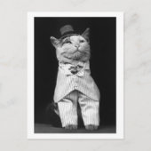 Kat met Pet, 1906 Briefkaart (Voorkant)
