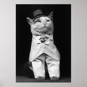 Kat met Pet, 1906 Poster