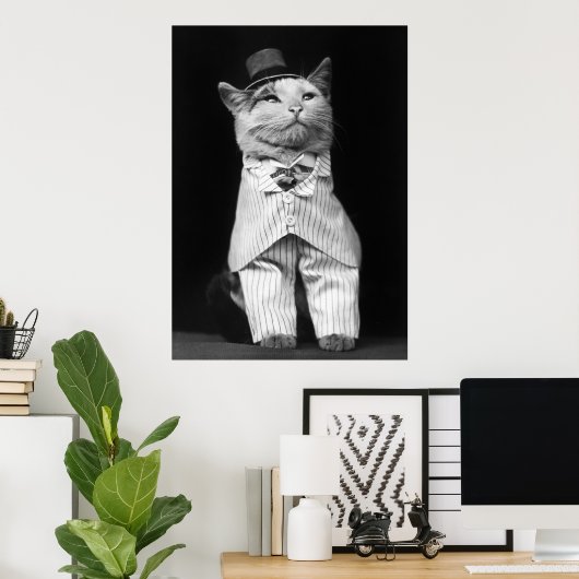Kat met Pet, 1906 Poster (Thuiskantoor)