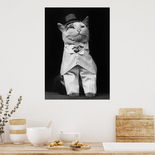 Kat met Pet, 1906 Poster (Keuken)