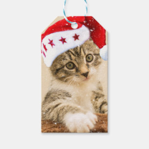 Kat met pet santa cadeaulabel