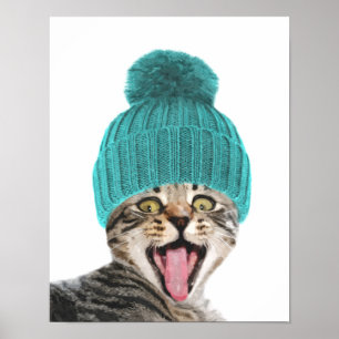 Kat met pet schattig dierportret poster