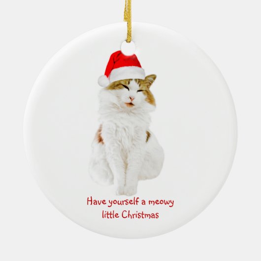 Kat met Pet van Santa Keramisch Ornament (Achterkant)