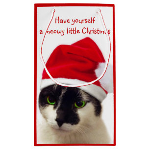 Kat met Pet van Santa Klein Cadeauzakje