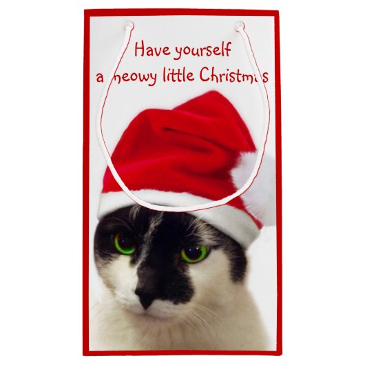 Kat met Pet van Santa Klein Cadeauzakje (Achterkant)