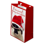 Kat met Pet van Santa Klein Cadeauzakje (Achterkant Gekanteld)