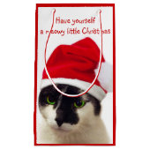 Kat met Pet van Santa Klein Cadeauzakje (Voorkant)