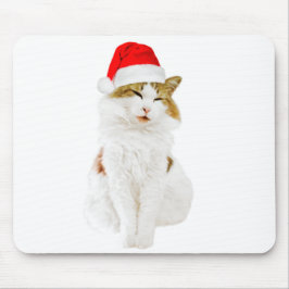 Kat met Pet van Santa Muismat