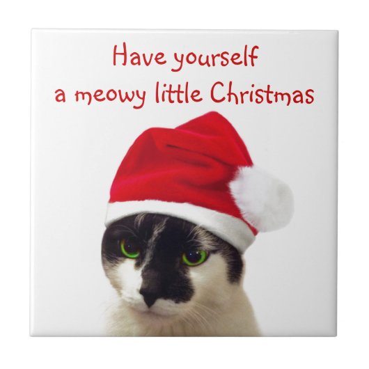 Kat met Pet van Santa Tegeltje (Voorkant)