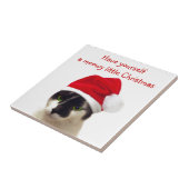 Kat met Pet van Santa Tegeltje (Zijkant)