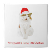 Kat met Pet van Santa Tegeltje (Voorkant)