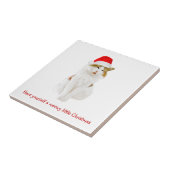 Kat met Pet van Santa Tegeltje (Zijkant)