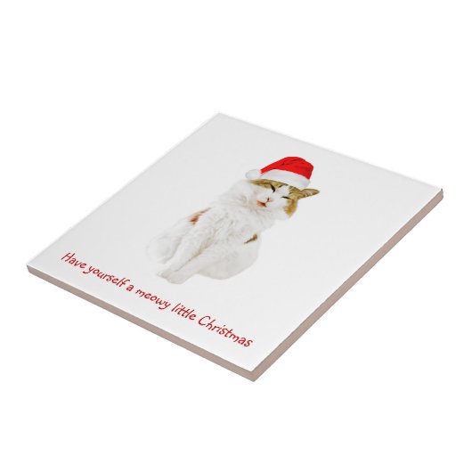 Kat met Pet van Santa Tegeltje (Zijkant)