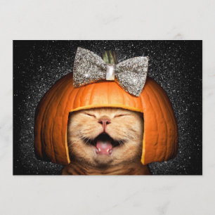 Kat Met Pompoen Haar Kaart